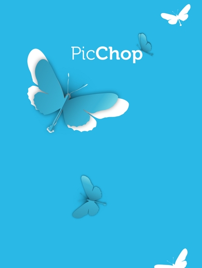 App design - Pichop